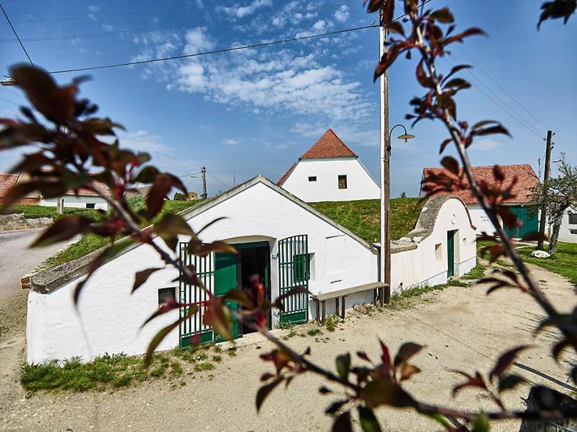 Troadkostn Villa Drasenhofen Exterior photo